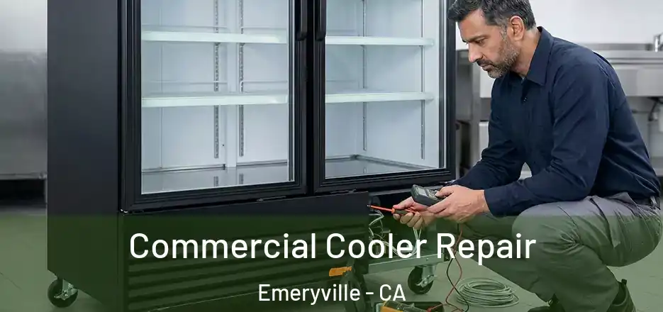 Commercial Cooler Repair Emeryville - CA