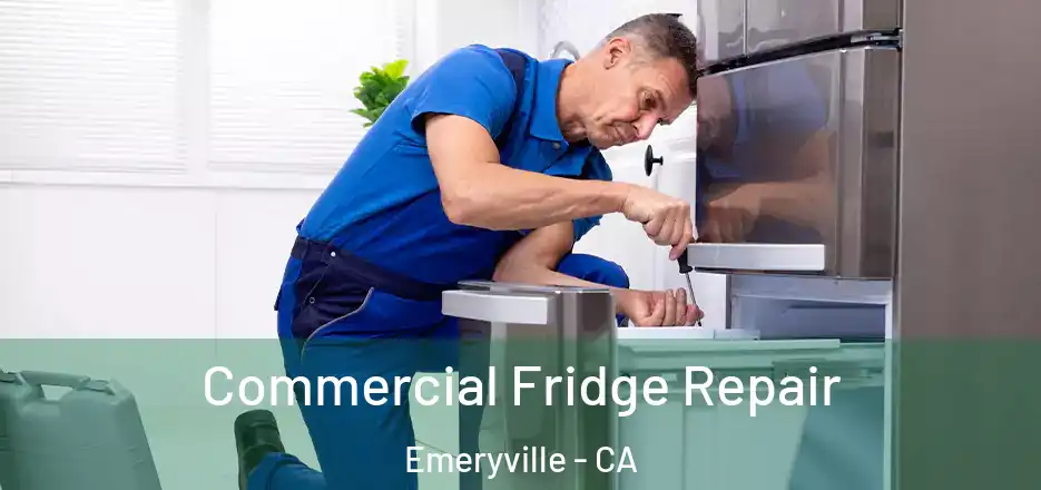 Commercial Fridge Repair Emeryville - CA