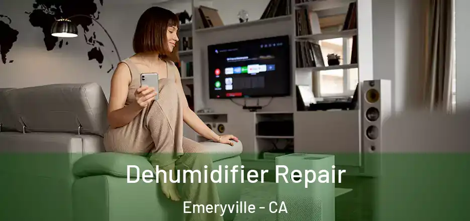 Dehumidifier Repair Emeryville - CA