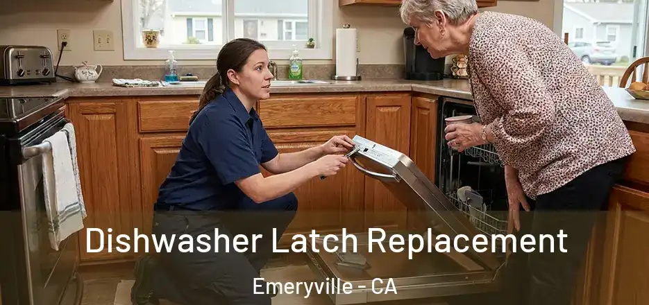 Dishwasher Latch Replacement Emeryville - CA