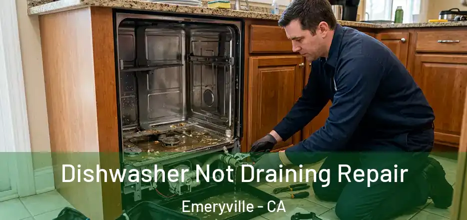 Dishwasher Not Draining Repair Emeryville - CA
