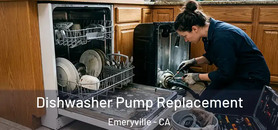Dishwasher Pump Replacement Emeryville - CA