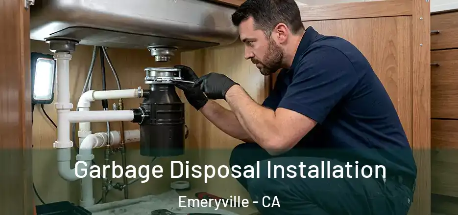 Garbage Disposal Installation Emeryville - CA