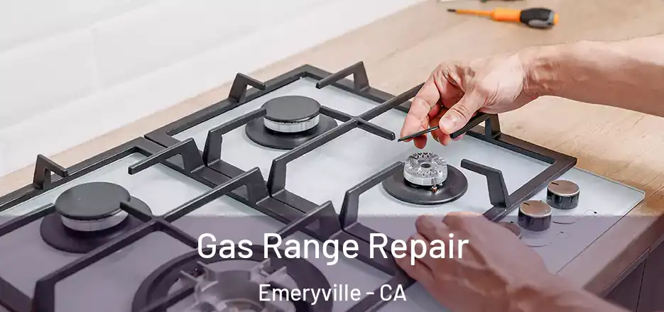 Gas Range Repair Emeryville - CA