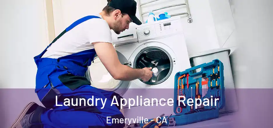 Laundry Appliance Repair Emeryville - CA