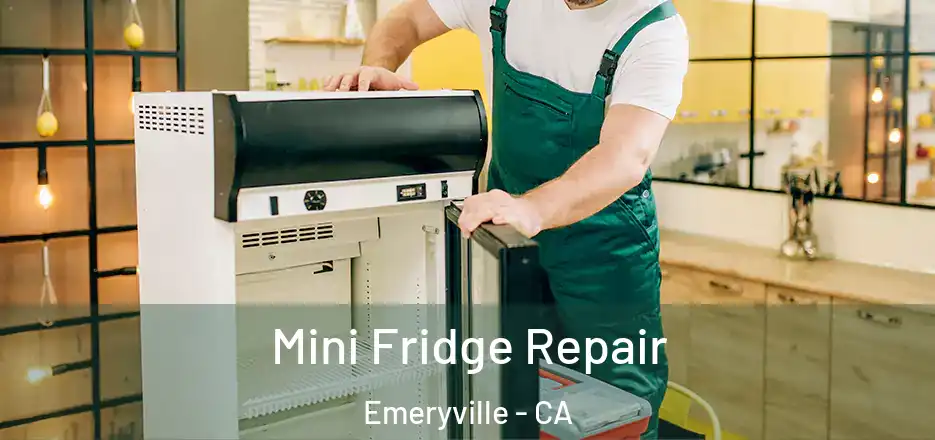 Mini Fridge Repair Emeryville - CA