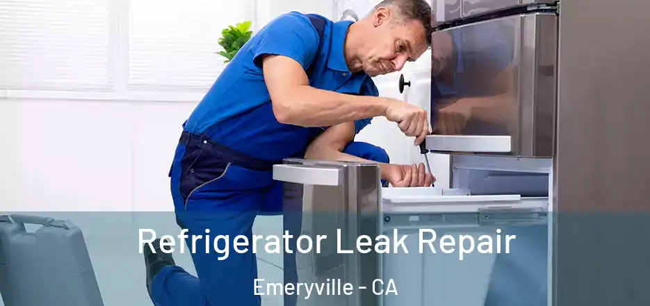Refrigerator Leak Repair Emeryville - CA