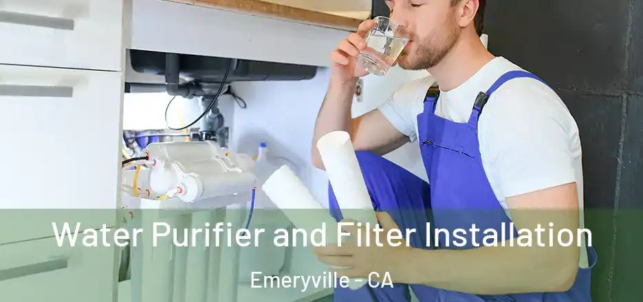 Water Purifier and Filter Installation Emeryville - CA